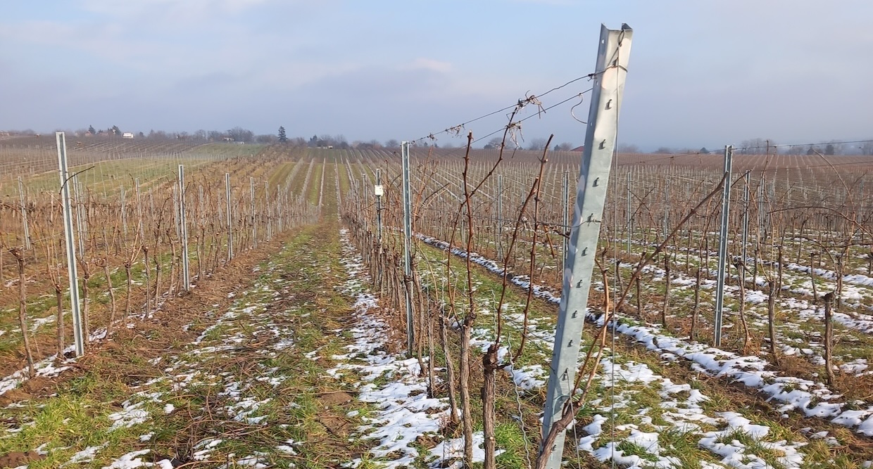 A precíziós vetés ismérvei